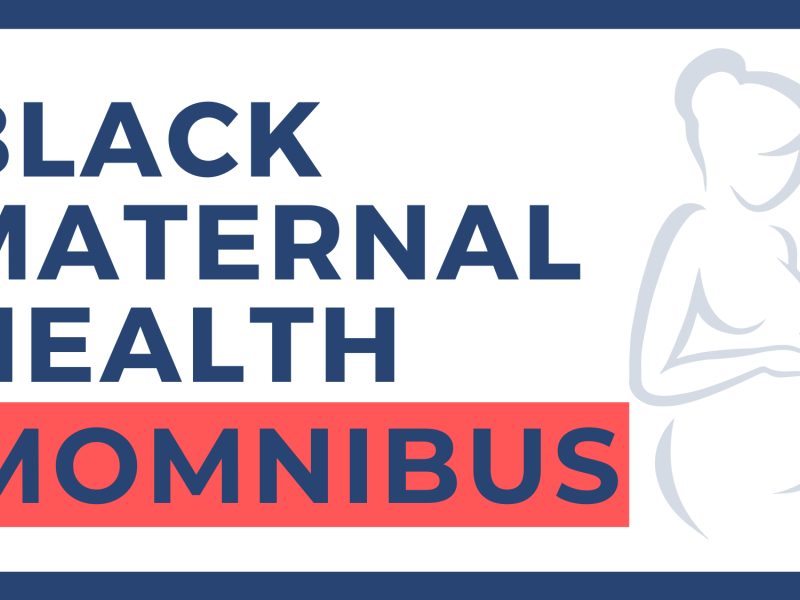 Black Maternal Health Momnibus
