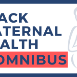 Black Maternal Health Momnibus